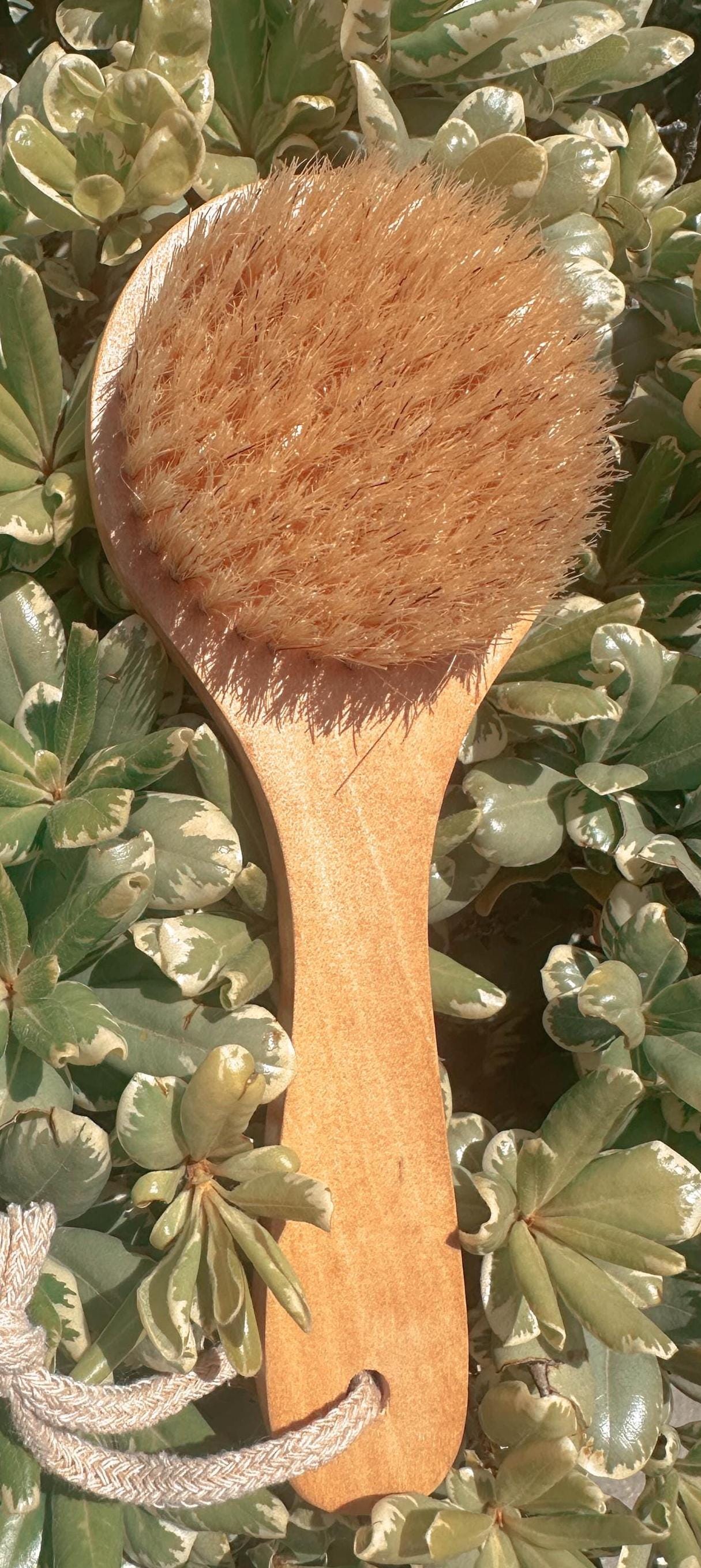 Holz-Peelingbürste Mit Naturborsten – Für Trockene & Nasse Haut – Fördert Durchblutung & Gegen Cellulite