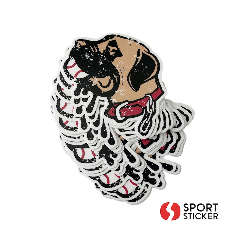 Custom Hockey Helmet Stickers Helmet Decals Waterproof Etsy