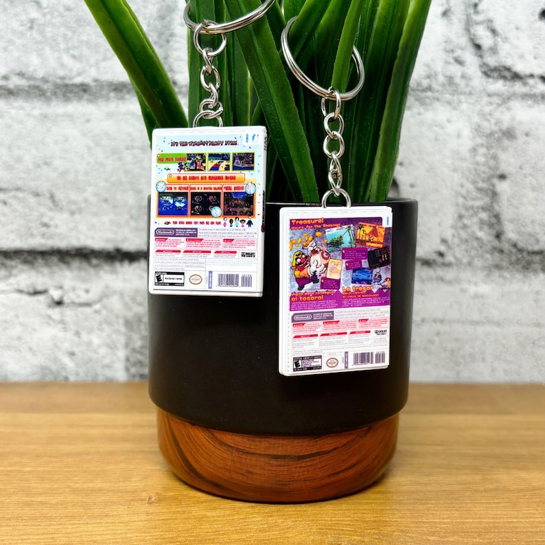 May include: Two keychains with miniature video game box art. The keychains are rectangular with colorful graphics and attached to silver key rings. The boxes feature game titles and Nintendo branding. They are displayed in front of a black and brown pot with green plant stems.