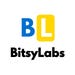 BitsyLabs store logo