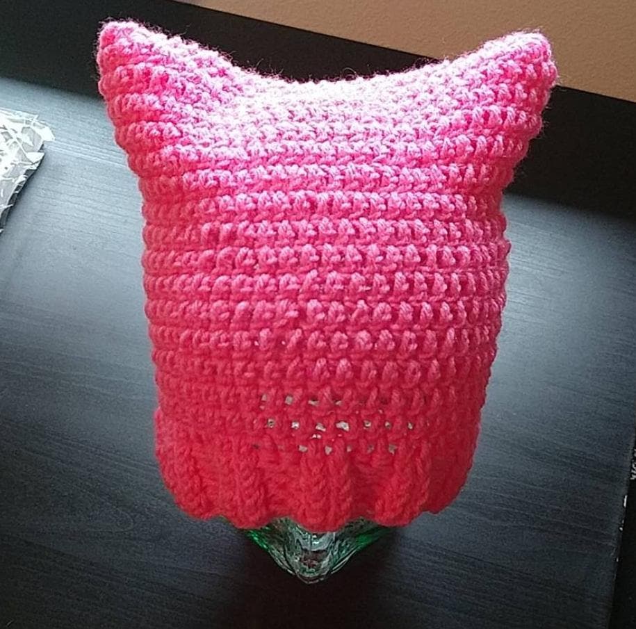 Donation to Planned Parenthood Action Fund / Pink Pussy Hat  display picture 2