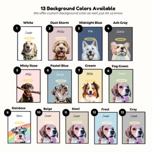 May include: A chart showing 13 different background colors available for pet portraits. Each color is shown with a pet portrait and the name of the pet. The colors include white, dust storm, midnight blue, ash gray, misty rose, pastel blue, cream, fog green, rainbow, beige, steel, frost, and gray.