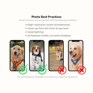 以下が含まれることがあります： スマートフォン上のペット写真の例を示す画像。「Photo Best Practices」というテキストと、高解像度、クローズアップ、良好な照明、すべての機能が表示されるという写真の要件が記載されています。2枚の写真が承認されています。