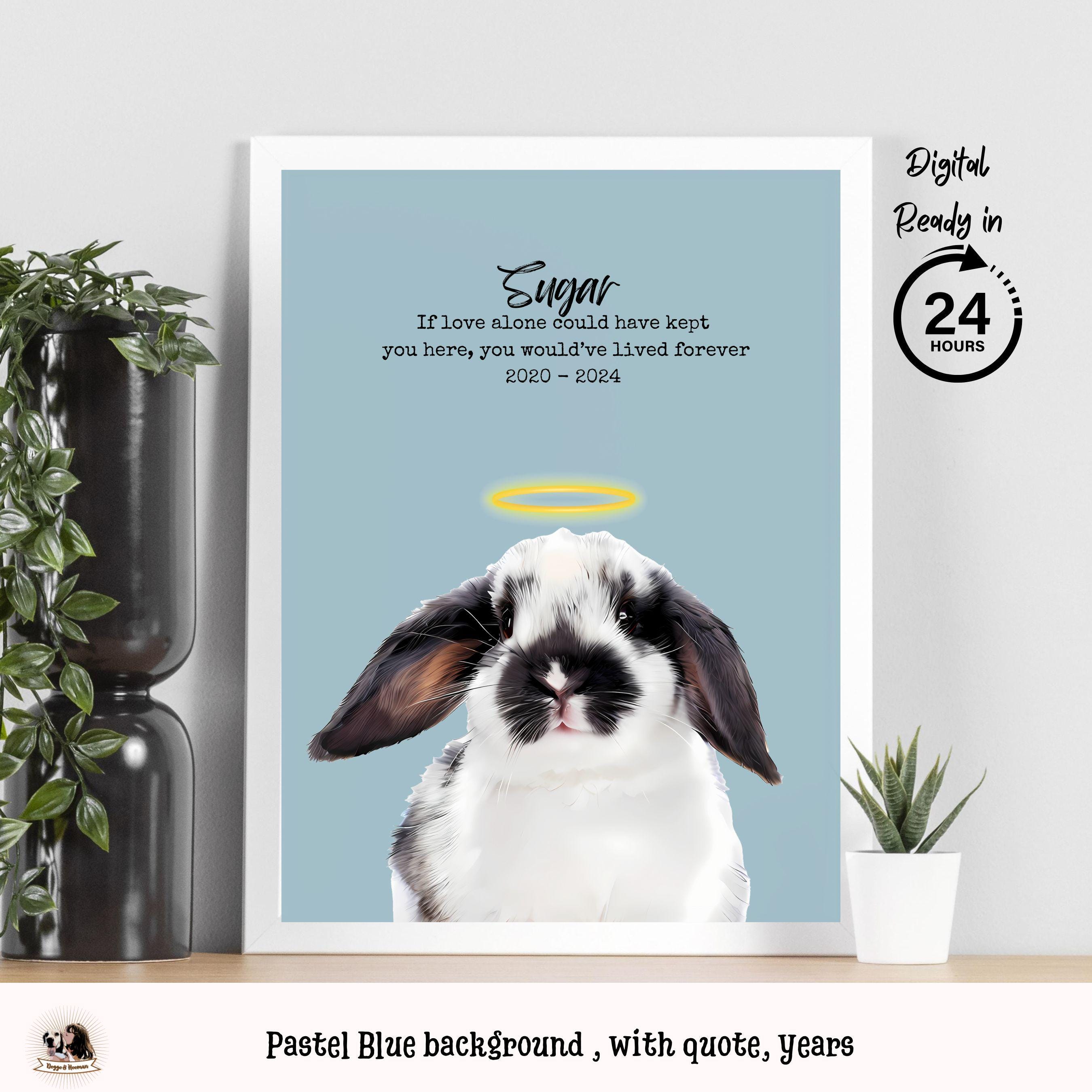 Memorial Gift Idea Dog/Cat Lover - I Made It Home