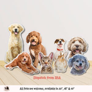 Custom Pet Pillow From Photo Custom Shaped Dog Pillow Shaped Cat Pillow Custom 3D Shape Pet Pillow Pet Memorial Pillow Stuffed Pet Pillow