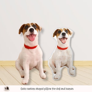 Custom Pet Memorial Pillow 3D Pet Pillow From Photo Dog Memorial Gift Custom Shaped Dog Pillow Shaped Cat Pillow Custom Stuffed Pet Pillow