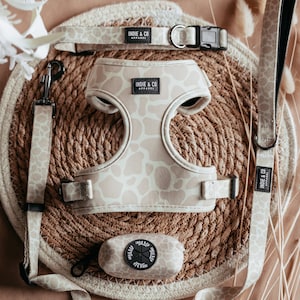 Louis Pup Monogram Backpack & Leash