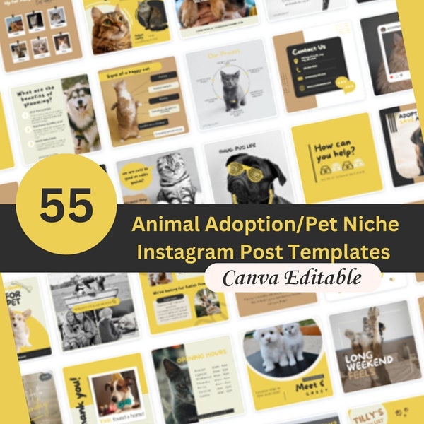 Modelli di post Instagram PET modificabili. Adozione di animali, rifugio di salvataggio, nicchia di animali: veterinari, negozio di animali. Incremento del coinvolgimento sui social media