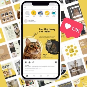Pu&ograve; includere: Un post Instagram giallo e bianco sullo schermo di uno smartphone con una foto di due gatti tigrati. Il testo dice "Per le pazze delle gatte. I nostri due gatti adulti Lulu e Betty cercano un nuovo migliore amico. Adotta oggi. @yourbusiness.com".