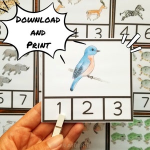 Vorschule Zahlen Aktivität, Homeschool Vorschule druckbare, Zähl- und Clip-Zahlenkarten, Montessori-Zählaktivität, Kleinkind-Karteikarten