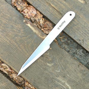 May include: A silver throwing knife with a pointed tip and a hole at the top of the handle. The knife has the text "NozhTop" engraved on the handle.