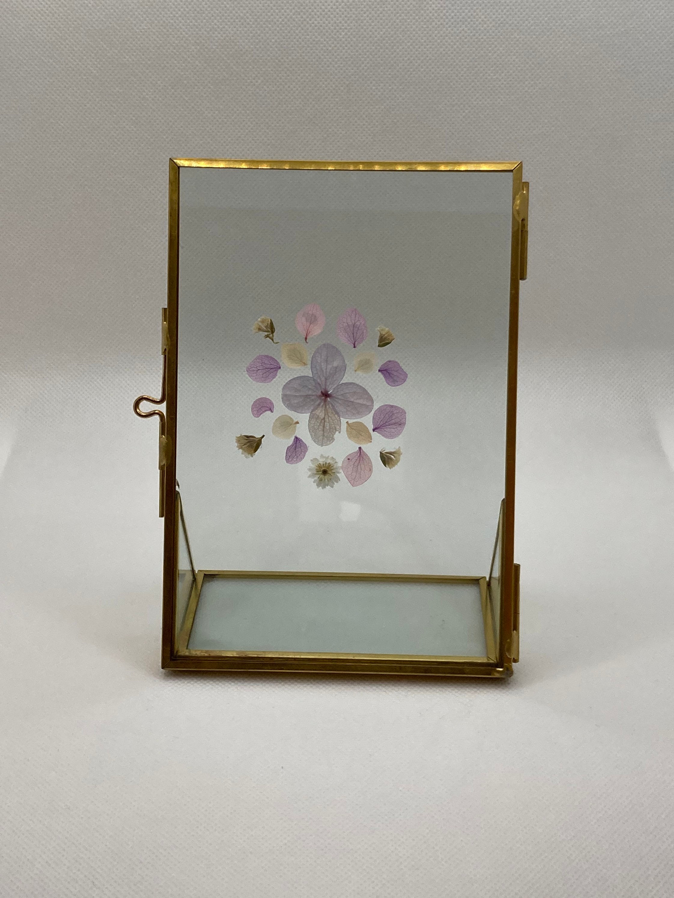 Petit Herbier Fleurs Naturelles, Violettes et Parme