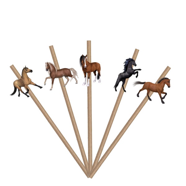 10 PCS Horse for Baby Shower , 1st Birthday | Farm Animals Horses Theme Baby Shower Party Supplies and Party Decorations