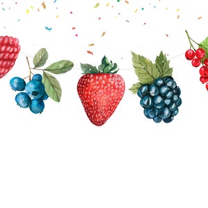 Berries Birthday Banner Cute Watercolor Summer Juicy Berry Party Supplies Baby Shower| Birthday Decorations for Blueberry, Blackberry etc.