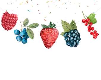 Berries Birthday Banner Cute Watercolor Summer Juicy Berry Party Supplies Baby Shower| Birthday Decorations for Blueberry, Blackberry etc.