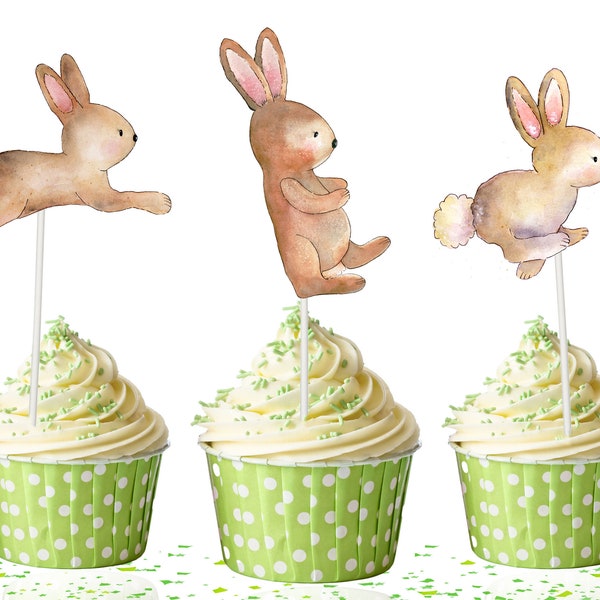 10 Pcs Bunny Cupcake Toppers Watercolor Theme for kids | Cute Bunny Cupcake Toppers Party Supplies | Spring Watercolor Rabbit