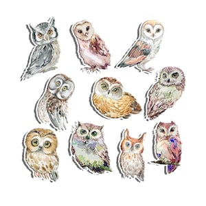 Woodland Owl Cutouts for Birthday, Baby Shower etc. Wildlife Camping Cutouts for Kids | Forest Owls Animals Birthday Party Decorations.