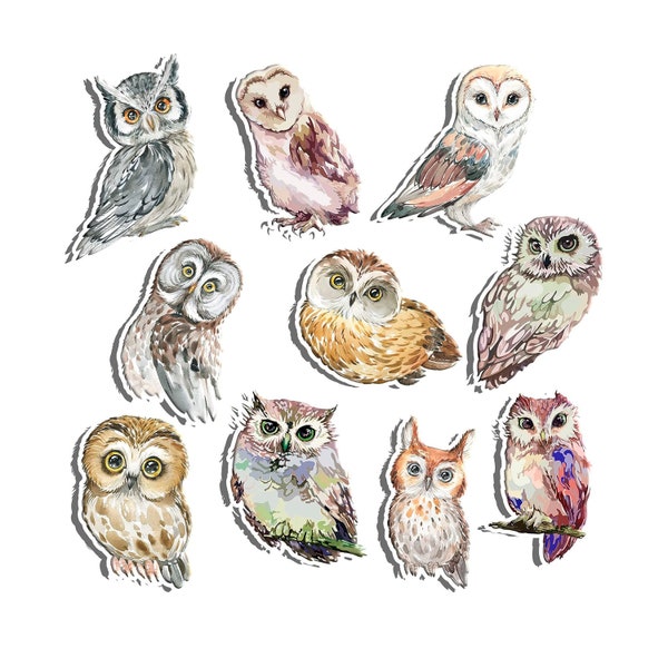 Woodland Owl Cutouts for Birthday, Baby Shower etc. Wildlife Camping Cutouts for Kids | Forest Owls Animals Birthday Party Decorations.
