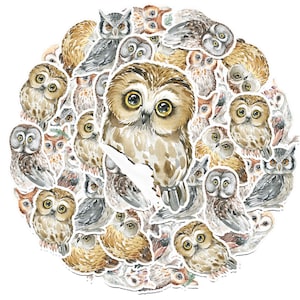 Lot de 25 stickers hibou - Stickers oiseaux mystiques pour ordinateurs portables, journaux et décoration animalière