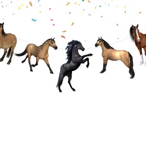 Horses Birthday Banner Horse Theme Party Supplies | Baby Shower, Birthday Decorations for Harness | Racing | Horses Theme