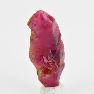 Op de afbeelding: Een diep rode robijnkristal met een puntige punt en een ruw, getextureerd oppervlak.