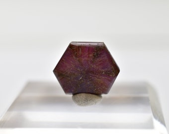 May include: A deep red hexagonal ruby gemstone with a star-like pattern in the centre. The ruby is sitting on a small white rock.