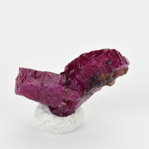May include: A deep red ruby crystal with a faceted, elongated shape. The crystal is mounted on a small white base.