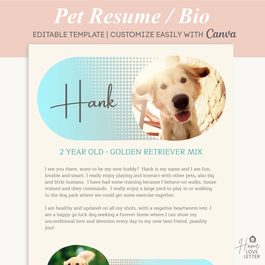 Dog Bio Resume Pet One Pager Rental Pet Profile Foster Cat Etsy