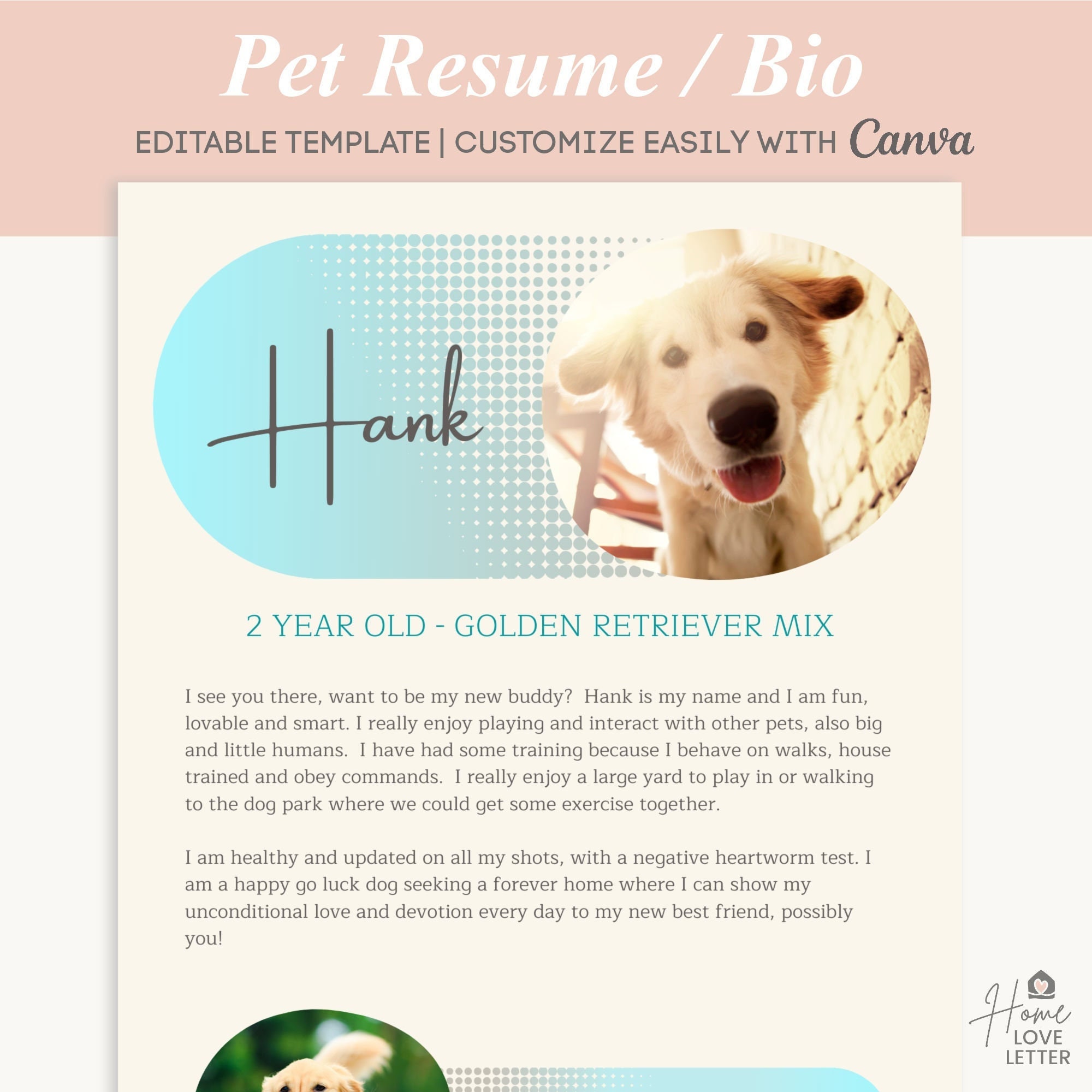 Dog Bio Resume Pet One Pager Rental Pet Profile Foster Cat - Etsy