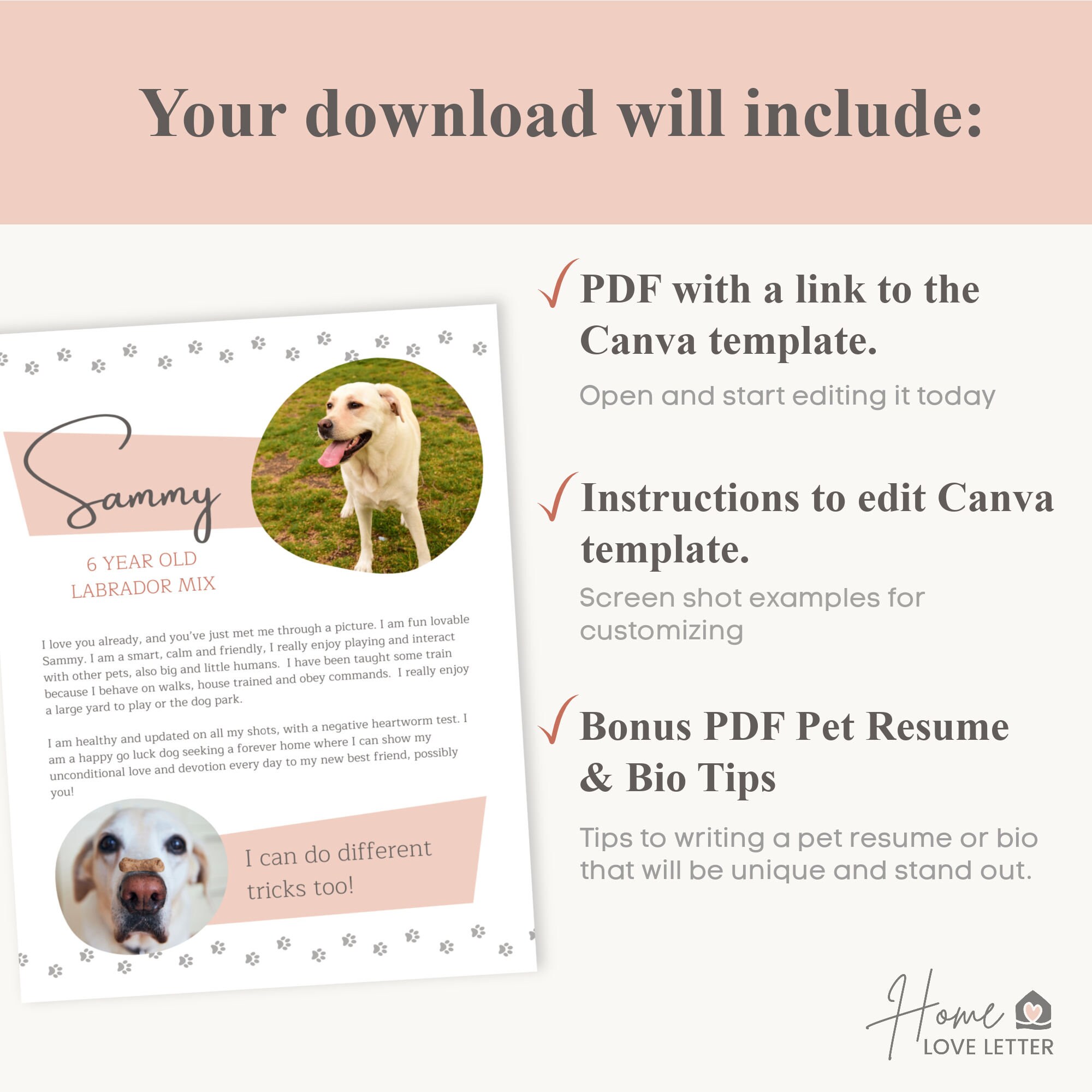 Dog Bio Resume Pet One Pager Renting Pet Profile Foster Cat Etsy