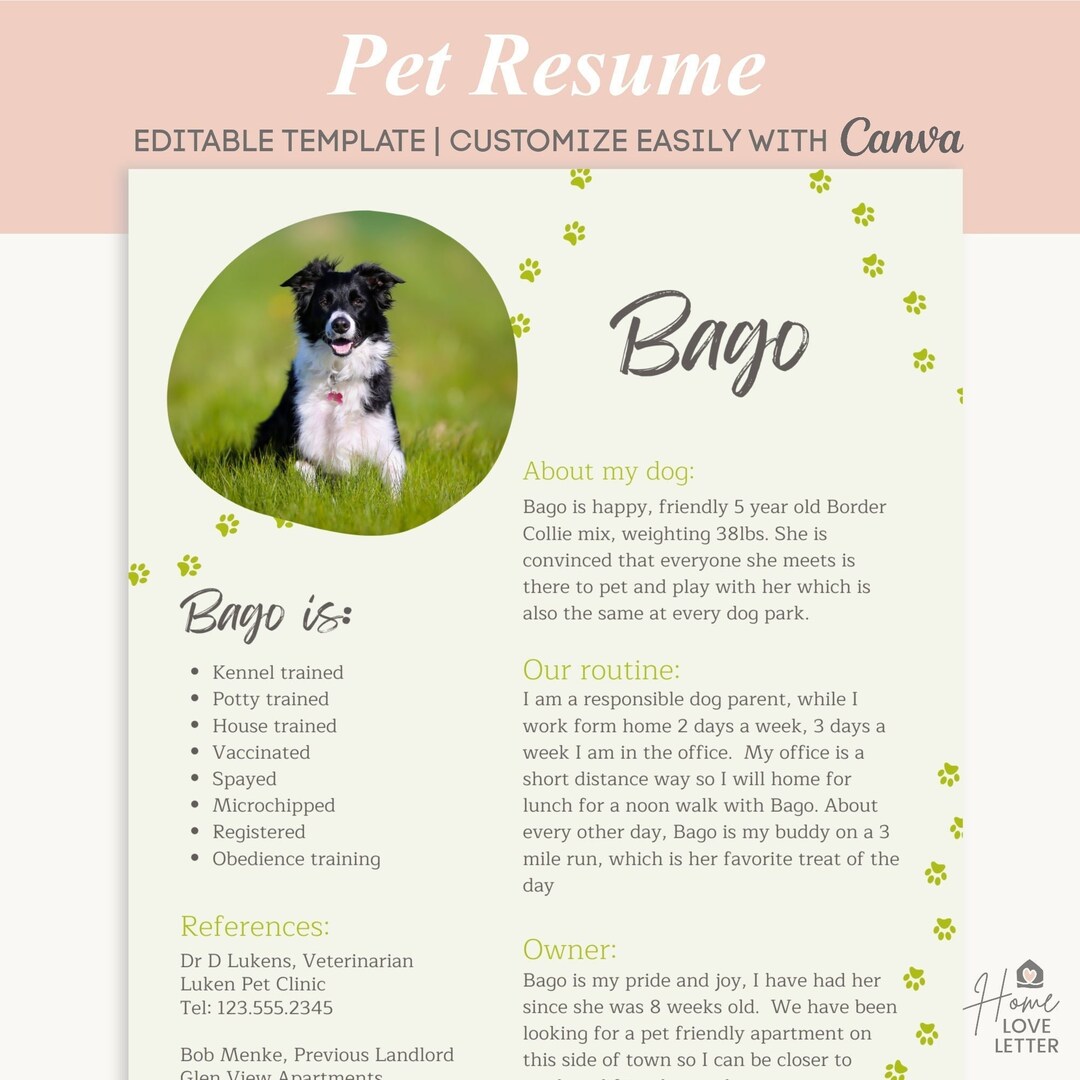 Pet Resume Rental Application Real Estate Letter Renting Pet Etsy
