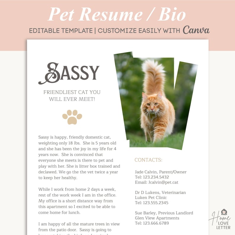 Cat Bio Resume Pet One Pager Renting With Pet Profile Etsy