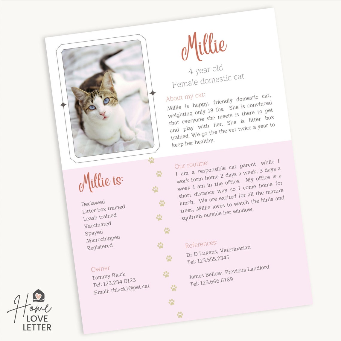 Cat Bio Resume One Pager Renting Pet Profile Foster Cat Bio Etsy