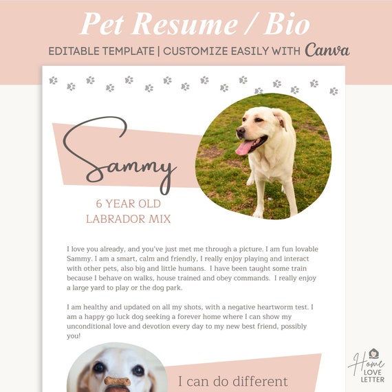 Dog Bio Resume Pet One Pager Renting Pet Profile Foster Cat - Etsy Dog Bio Resume Pet One Pager Renting Pet Profile Foster Cat - Etsy