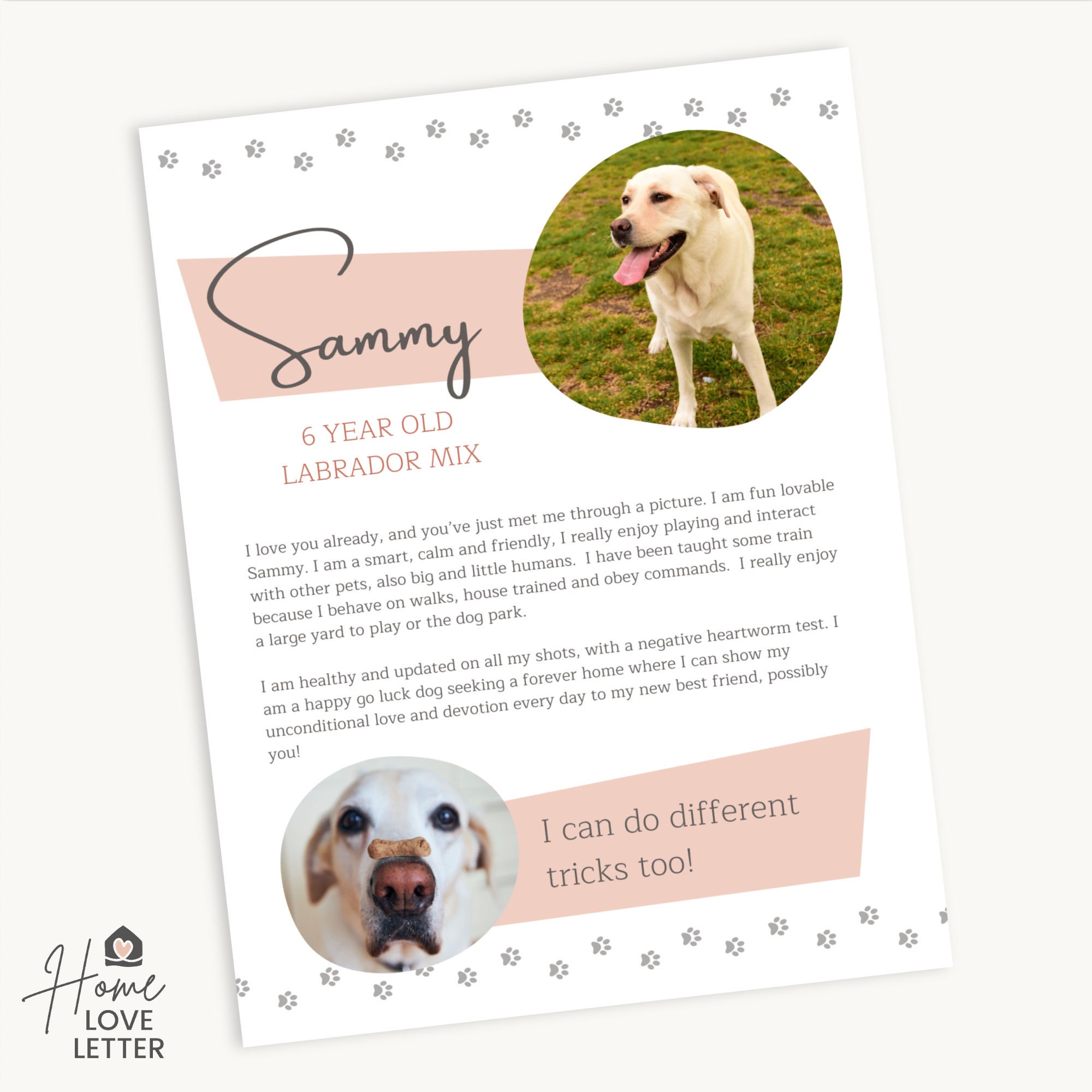 Dog Bio Resume Pet One Pager Renting Pet Profile Foster Cat Etsy
