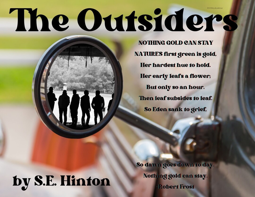 The Outsiders SE Hinton Digital Print Anchor Chart Bulletin Etsy Canada