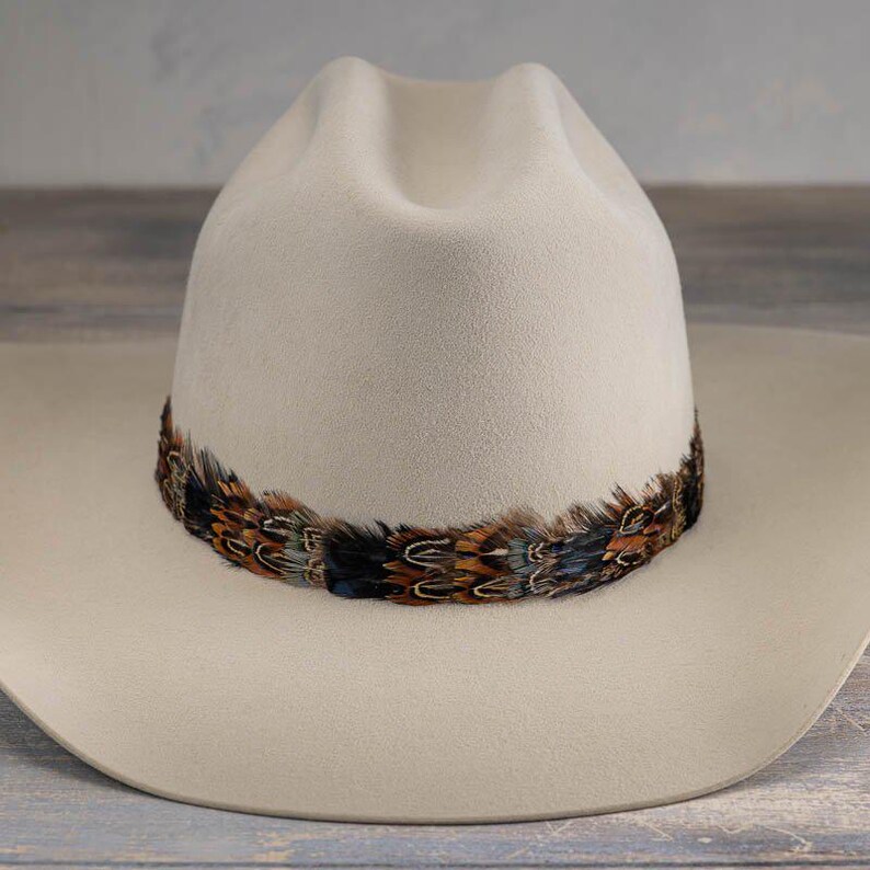 Western Feather Hat Band - Shea image 2