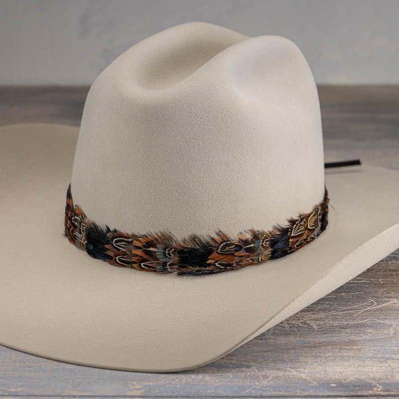 Western Feather Hat Band - Shea image 1