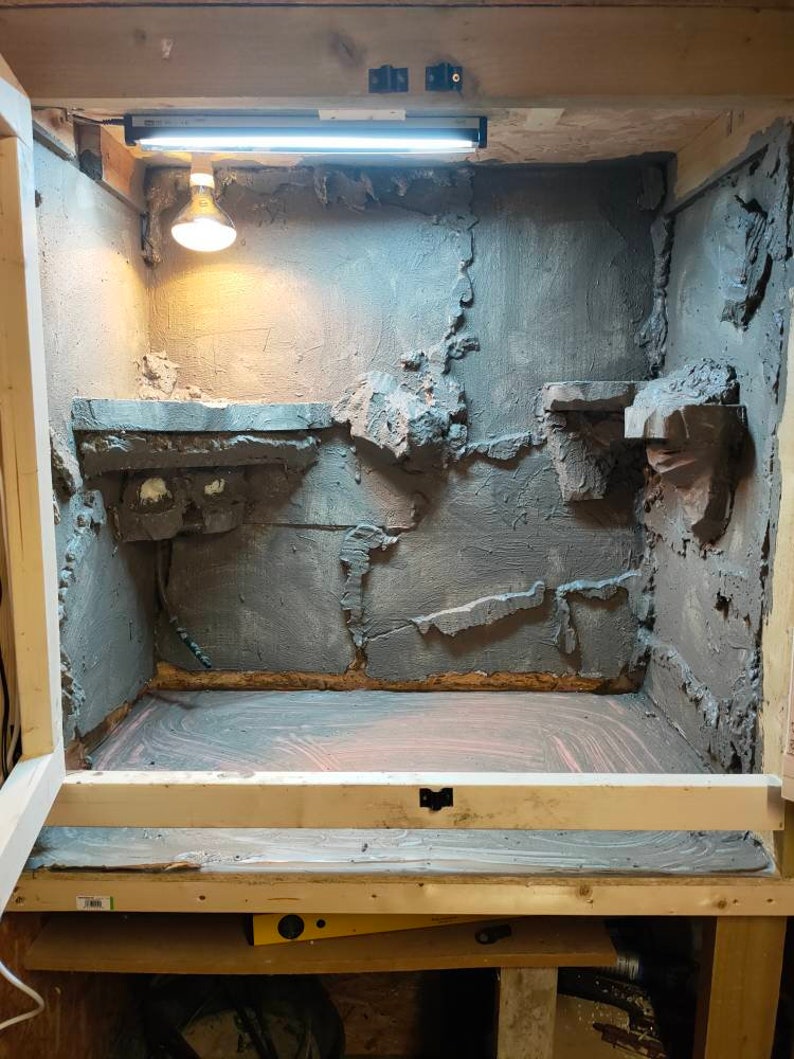 Custom Reptile Backgrounds Etsy