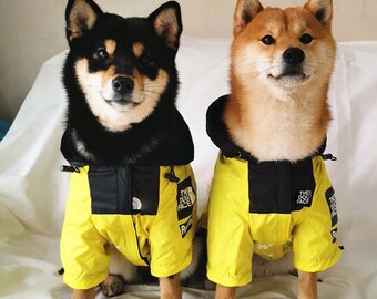 dog raincoat large breed