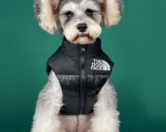 dog with jacket