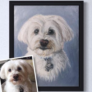 Custom Dog Painting, Maltese Pet Portrait, Pet Memorial Art