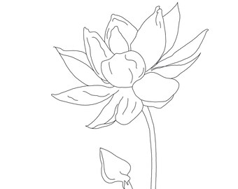 For Black Moon, Lotus
