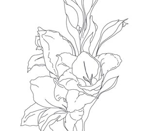 For Christopher, Gladiolus