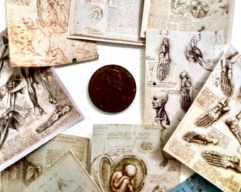 Anatomía de Leonardo Da Vinci, miniaturas para imprimir y recortar, casa de muñecas, diaroma, archivos digitales, ciencias, pdf