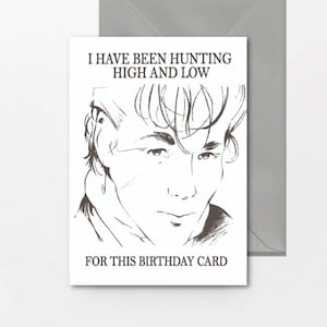 A -Ha, je cherchais cette carte d'anniversaire pour lui, sa mère, son père, sa soeur, son frère et son ami, humour drôle IN152