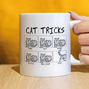 Awesome Cat Fetch Mug - Best Cat Trainer Cup Ever - Funny Coffee Cat Mug, Christmas, Xmas,Rude Sarcastic Mugs Memes Cup CMUG208