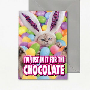 Carte de Pâques chat amoureux des chats Carte drôle de chat Je suis juste pour le chocolat E17