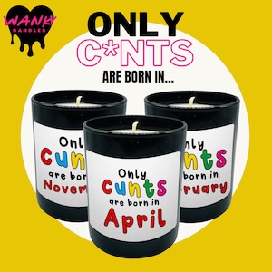 Wanky Candle , Rude Candle, Funny Candle  ,For her,for him, for friend, best friend, months - WANKY CANDLE 02
