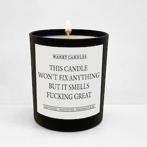 Wanky Candle , Rude Candle, Funny Candle  Birthday Candle Gift, Funny Candle Gift, Soy Wax Candle, This Candle Won&#39;t fix Anything, WCBJ237